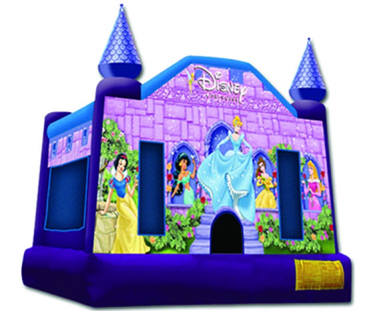 Disney Princess Castle (discounted)
